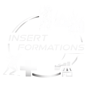logo-insert-formation-blanc